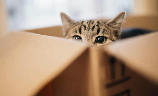 Jeff Hurd Won’t Hold a Town Hall Meeting for…Reasons